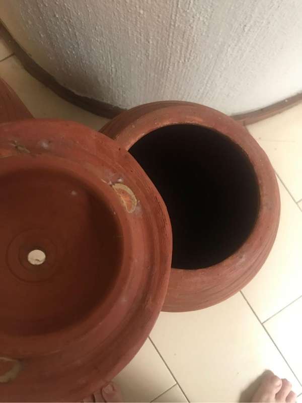 Twin Terracotta pots with lids