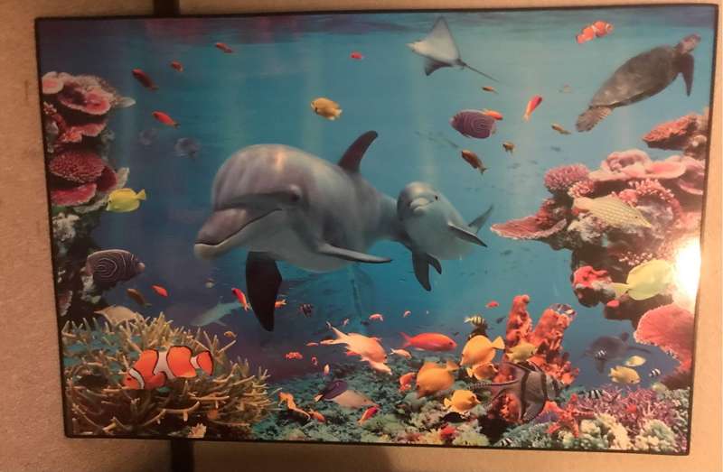 Gorgeous Underwater scene photo