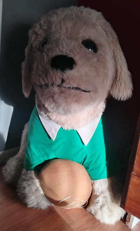 Teddy Bear up for auction