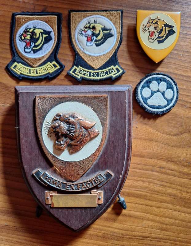 SAAF 19 Squadron lot
