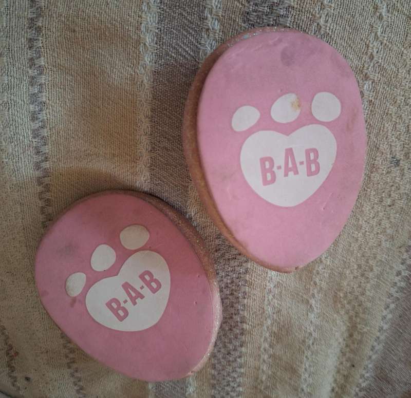 Original Build a Bear pink shoes