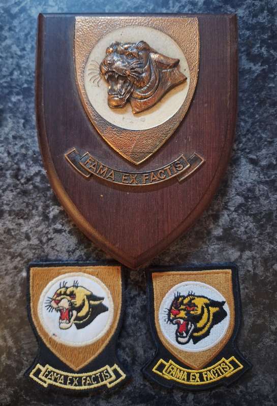SAAF 19 Squadron set