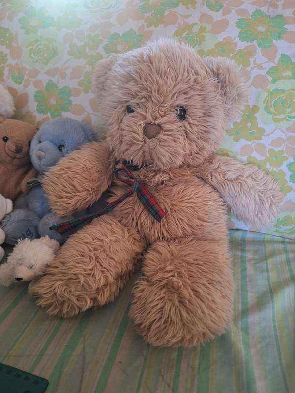 Soft toy lot number 6