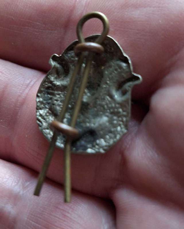 Sadf collar badge
