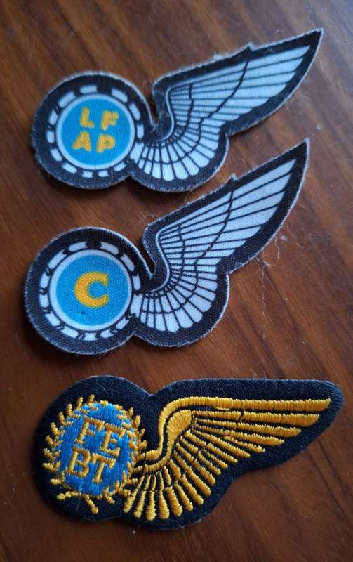 3x SAAF half wings