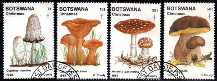 Botswana - 1982 Christmas Fungi Set Used SG 533-536