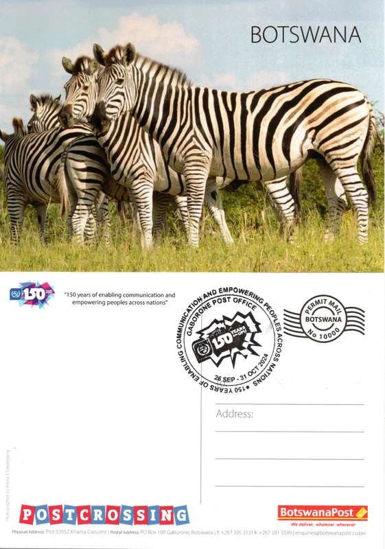 Botswana - 2024 Zebra Postcard Cancelled