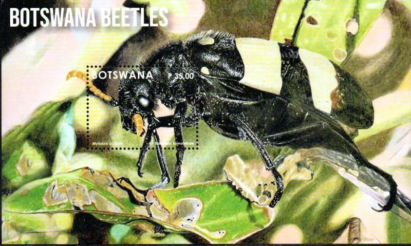 Botswana - 2024 Beetles MS MNH