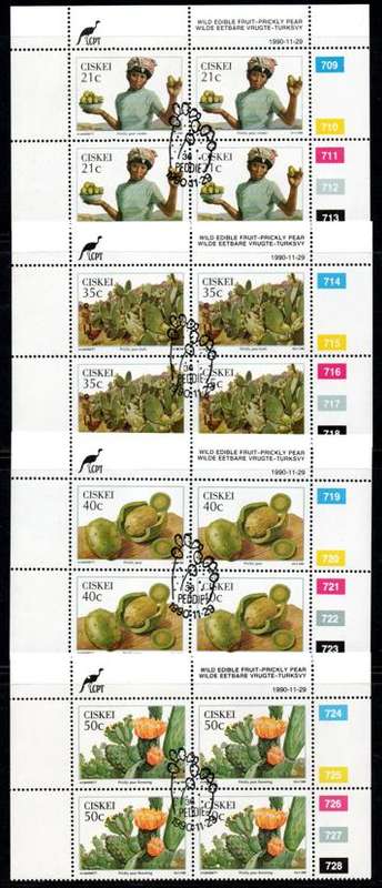 Ciskei - 1990 Prickly Pear Control Block Set Used SACC 179-182