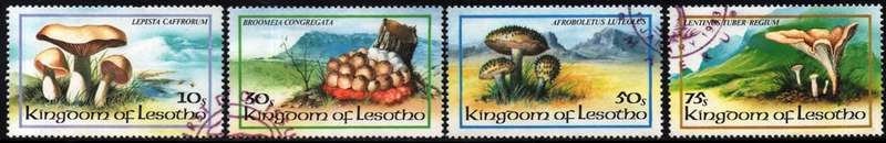 Lesotho - 1983 Fungi Set Used SG 532-535