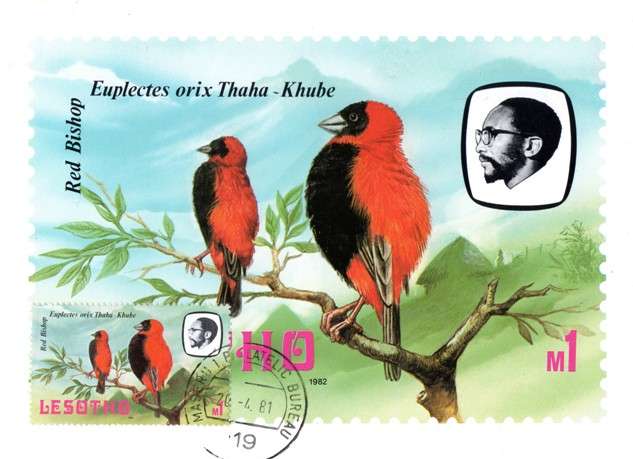 Lesotho - 1982 Birds M5 Maxi