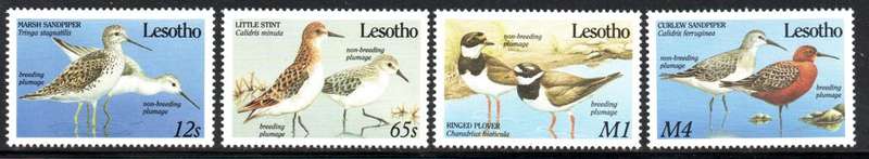 Lesotho - 1989 Migrant Birds Set MNH SG 910-913