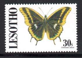 Lesotho - 1991 Butterflies 30s p13?MNH SG 1022Ac