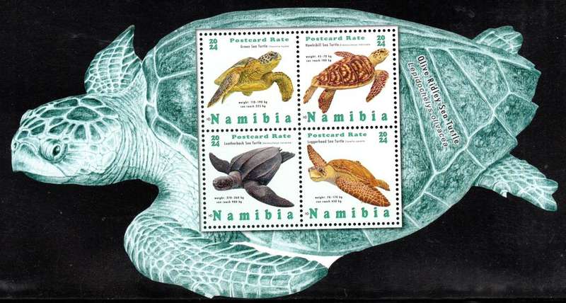 Namibia - 2024 Sea Turtles MS MNH