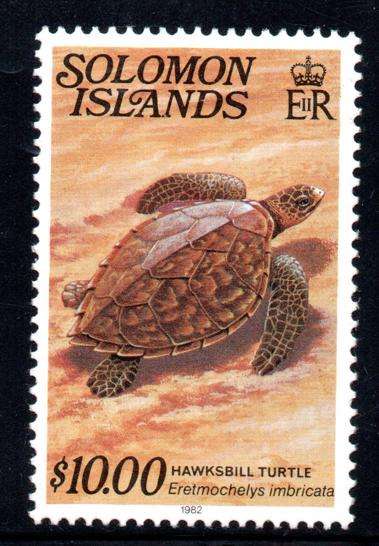 Solomon Islands - 1982 $10 Turtle MNH SG 403cB