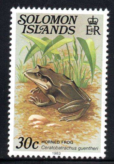 Solomon Islands - 1983 30c Frog MNH SG 398B