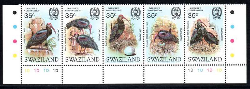 Swaziland - 1984 Wildlife Conservation Bald Ibis 1D Control MNH SG 448a