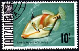Tanzania - 1967 Fishes 10s Triggerfish Used SG 156