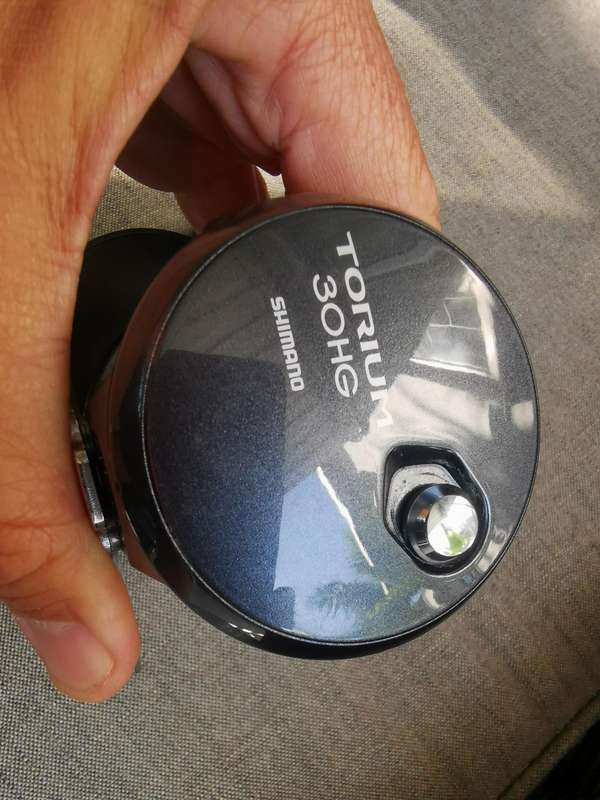 Shimano Torium 30 HG fishing reel