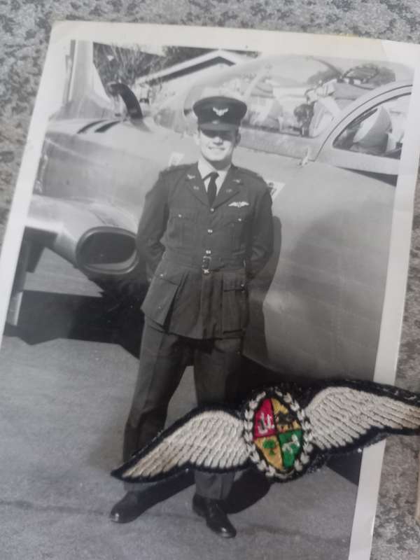 Pilots  wings ect