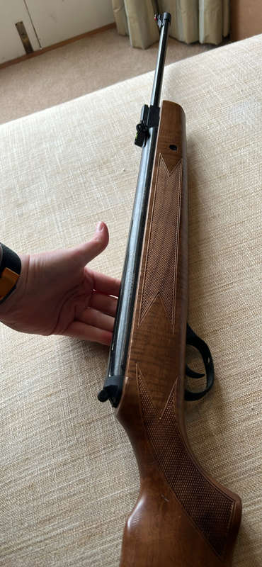 Winchester Rifle - Pellet Gun
