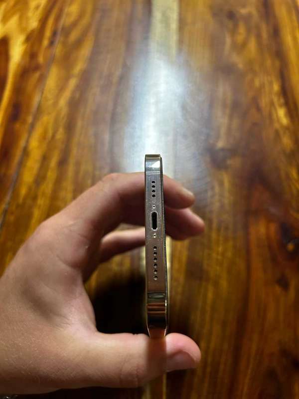 iPhone 12 Pro Max**81% Battery Health**