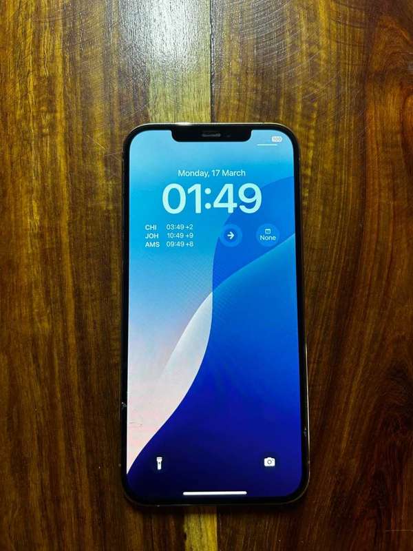 iPhone 12 Pro Max**81% Battery Health**
