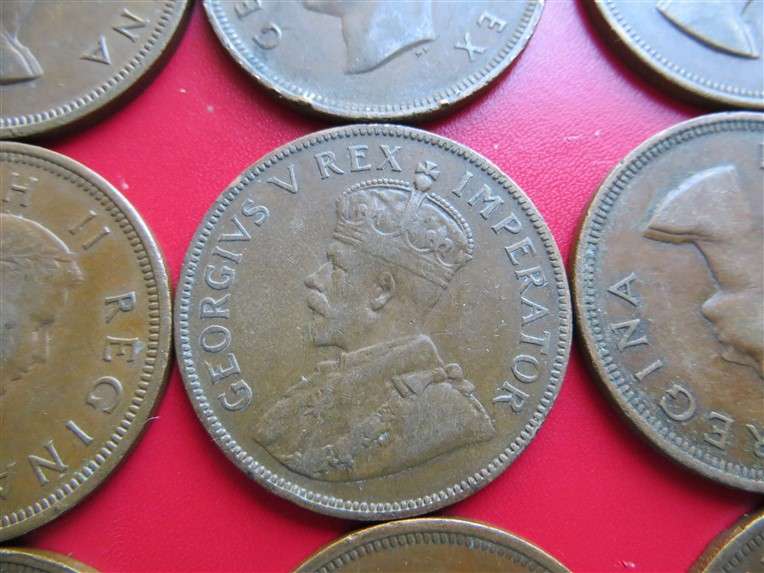 18 x SA Union Pennies 1d Lot - 1 Bid for All
