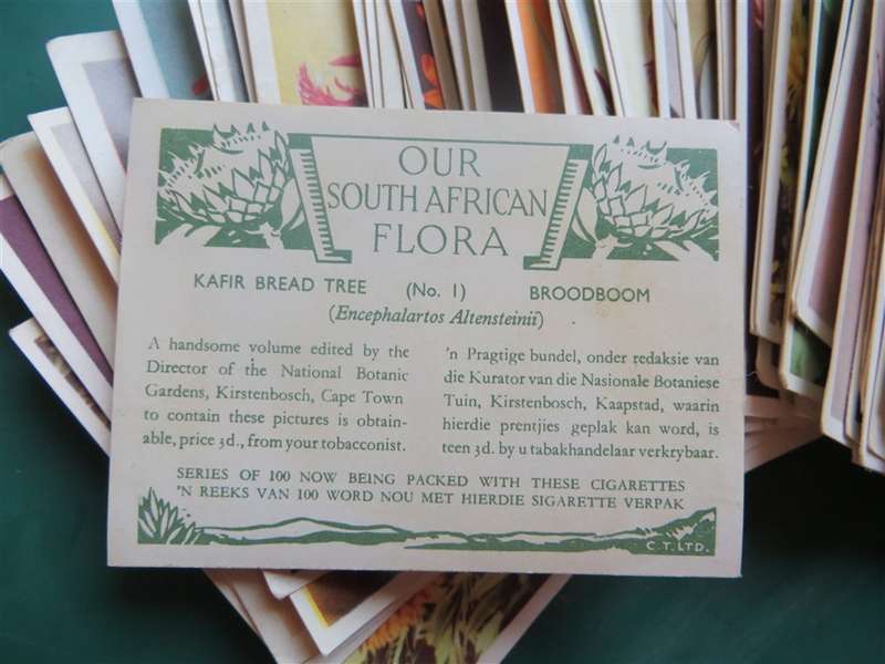1 - 100 Complete SA Flora Cigarette Cards Set