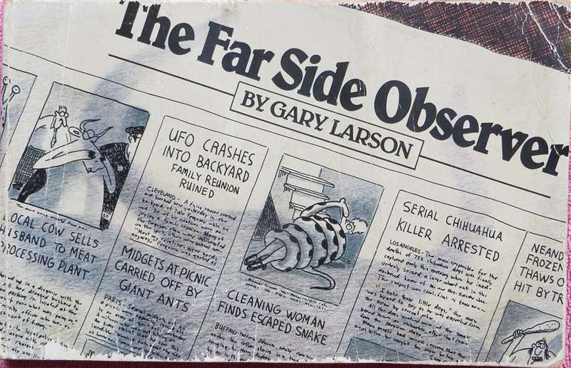 The Far Side Observer - Gary Larson