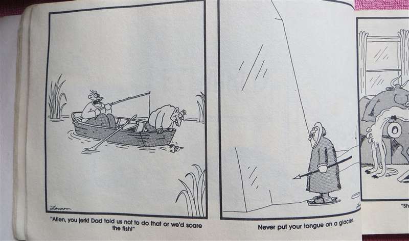 The Far Side Observer - Gary Larson
