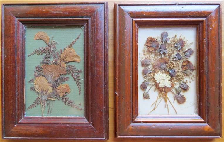 2 x Frames with Glass pressed Flower Pictures