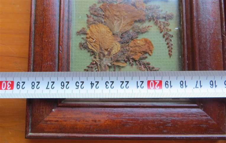 2 x Frames with Glass pressed Flower Pictures