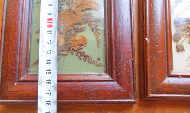 2 x Frames with Glass pressed Flower Pictures