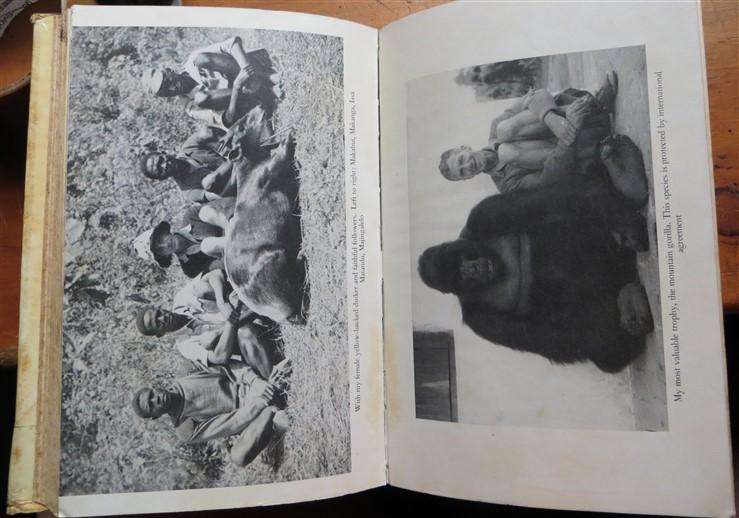A Hunter's Story - C.J.P Ionides Autobiography - 1965 Hardcover