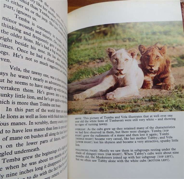 Chris McBride _ Signed Copy - The White Lions of Timbavati