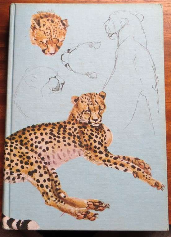 Pippa's Challenge - Joy Adamson