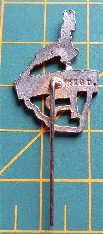 Republiek Pin Badge with Springbok