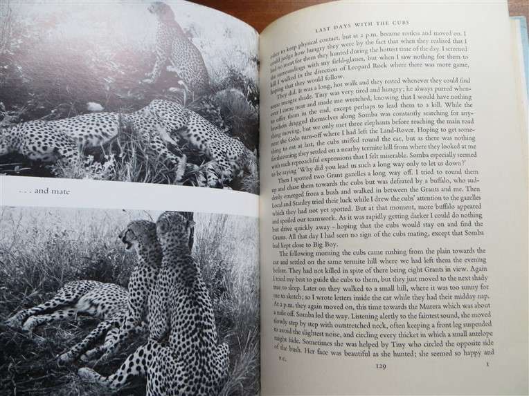 Pippa's Challenge - Joy Adamson