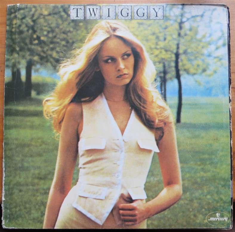 Twiggy - Vintage LP - VG