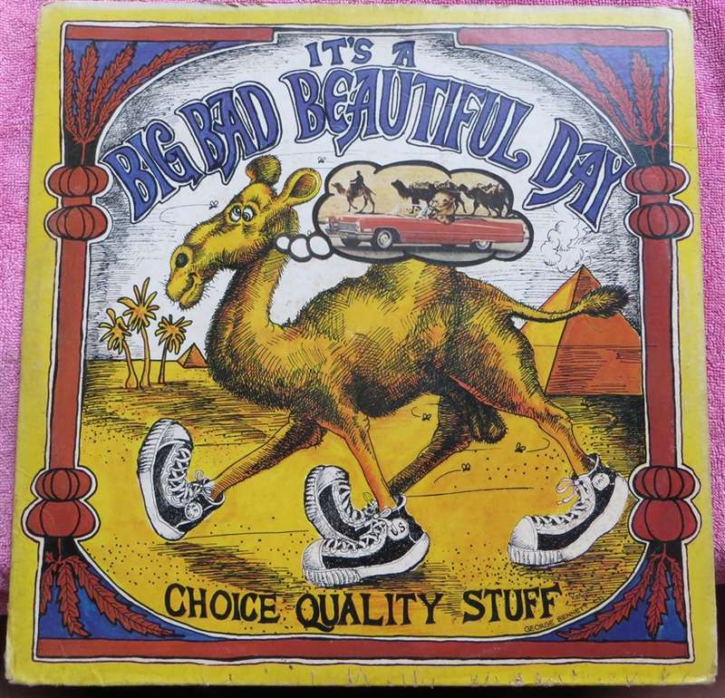 Vintage Vinyl LP - Its a big bad beautiful day - VG