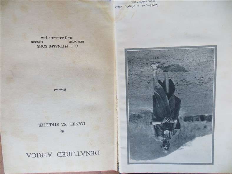 Denatured Africa - D.W Streeter