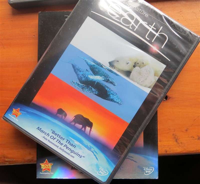 3 x Wild Life Documentary DVD's - 1 Bid for All