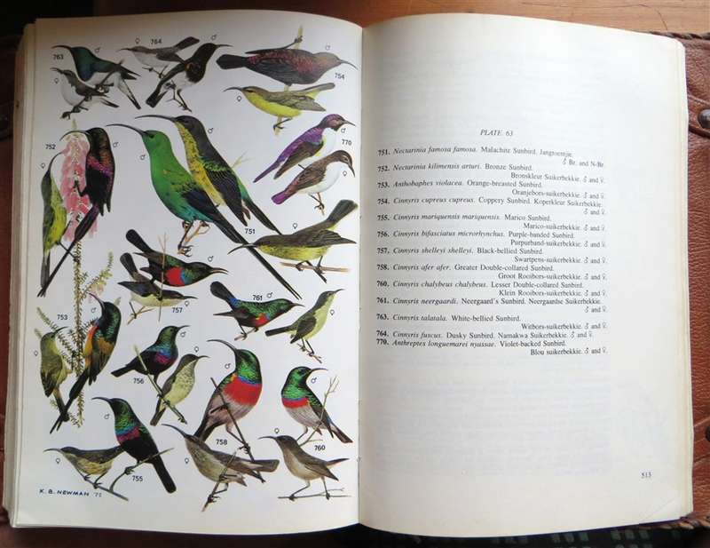 Robert's Birds of South Africa + Carry Book Cover