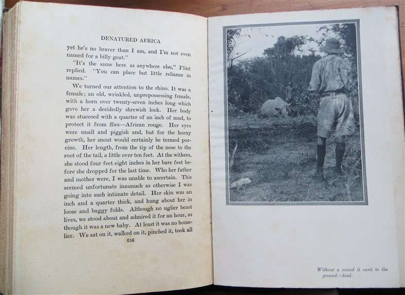 Denatured Africa - D.W Streeter