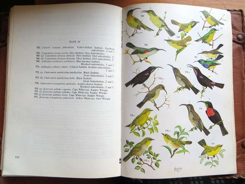 Robert's Birds of South Africa + Carry Book Cover