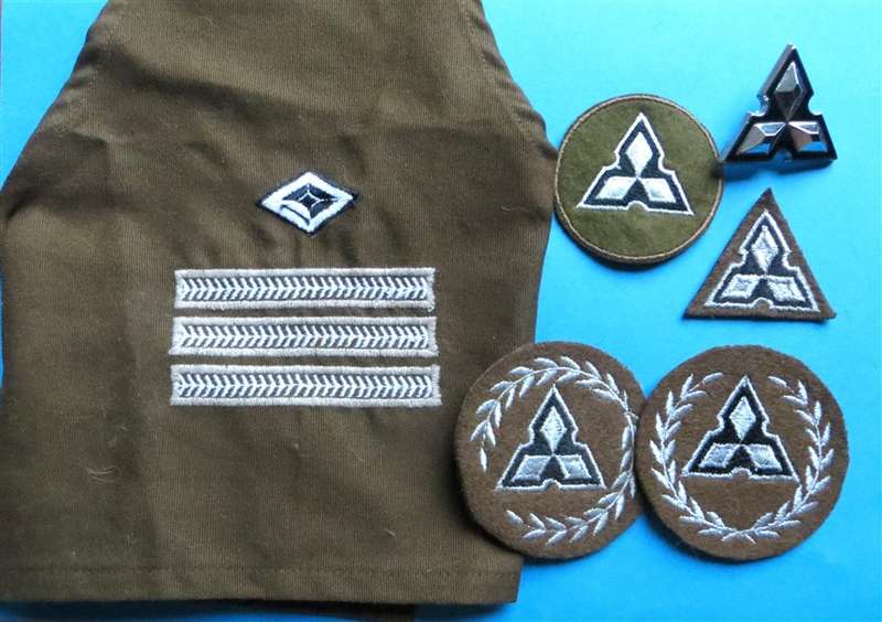 SWA Rank & Badges Lot - 1 Bid for All