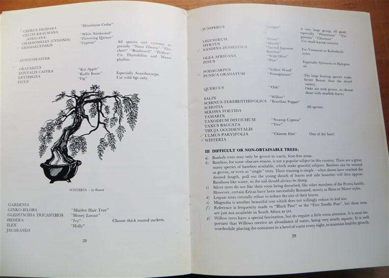 South African Bonsai Book - D.Hall & D.Black