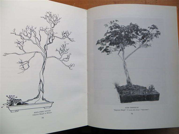 South African Bonsai Book - D.Hall & D.Black