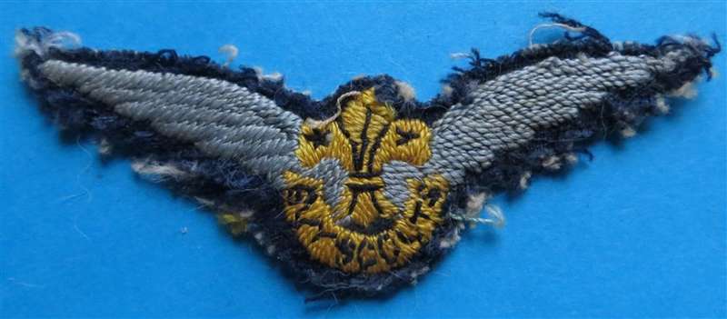 Boy Scouts Embroidered Wings Badge
